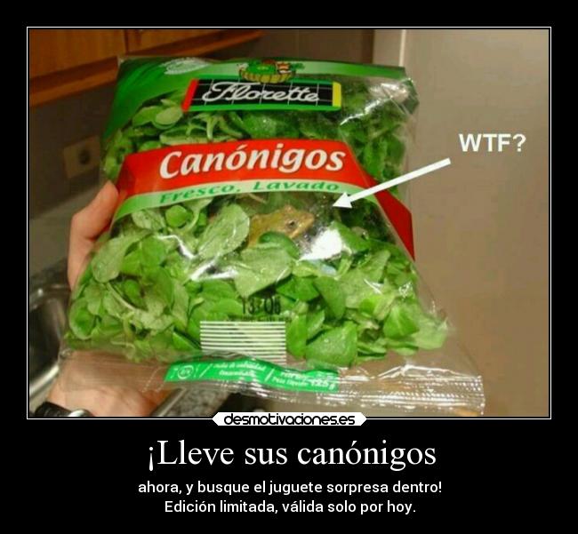 ¡Lleve sus canónigos - ahora, y busque el juguete sorpresa dentro!
Edición limitada, válida solo por hoy.