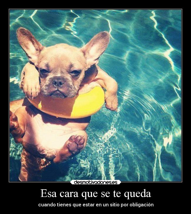 Esa cara que se te queda -
