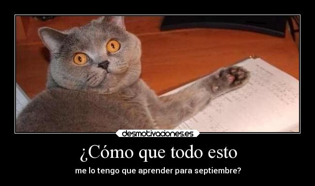 carteles humor desmotivaciones animales hook aprender gato deberes septiembre recuperar desmotivaciones