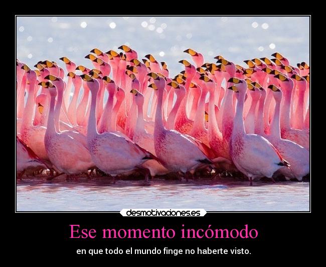 Ese momento incómodo - 