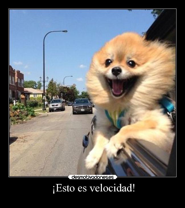 ¡Esto es velocidad! -