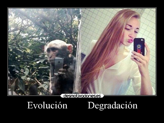 Evolución        Degradación - 