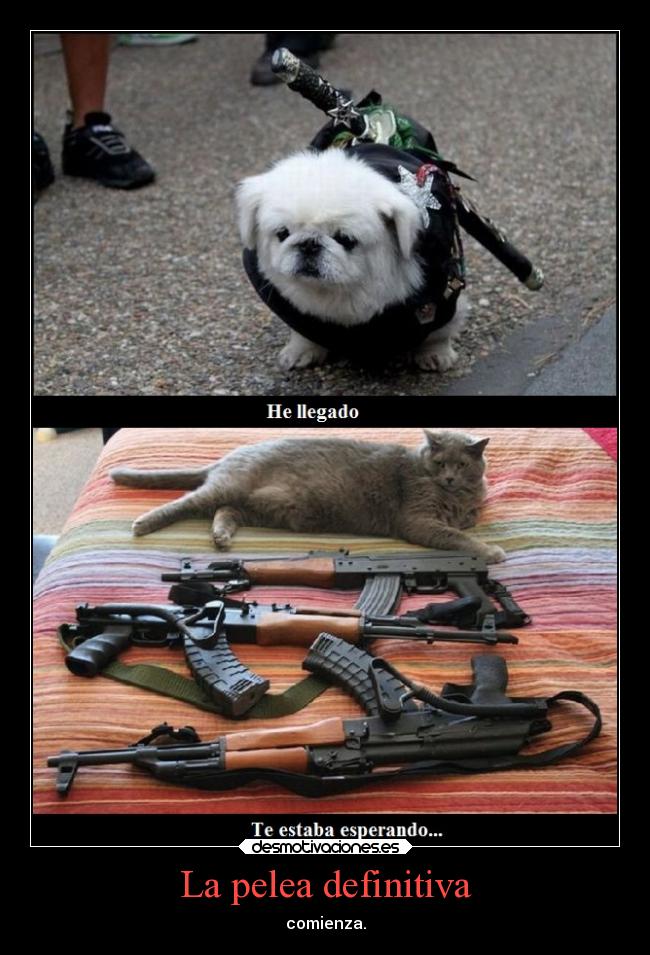 La pelea definitiva -