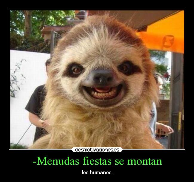 -Menudas fiestas se montan -