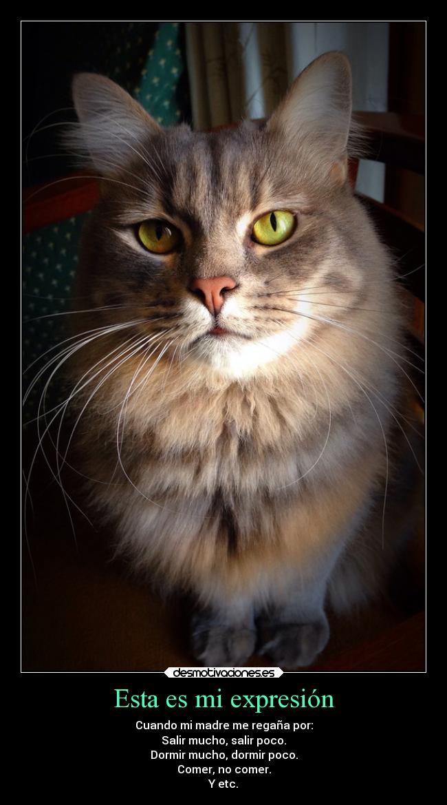 carteles humor historia familia dormir chiste casa desmotivaciones