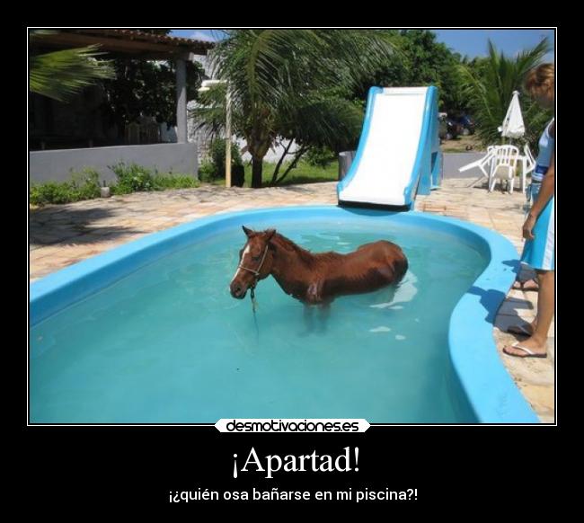 ¡Apartad! - ¡¿quién osa bañarse en mi piscina?!