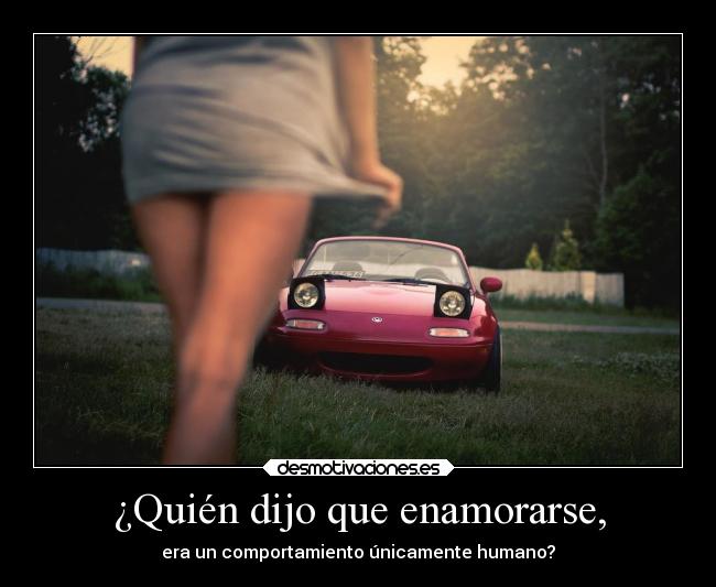 ¿Quién dijo que enamorarse, - era un comportamiento únicamente humano?