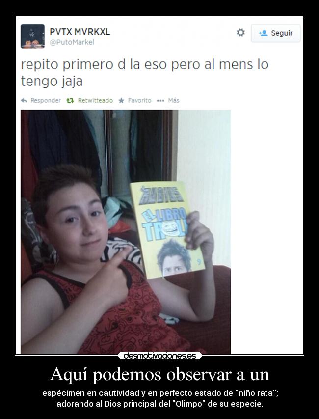 Aquí podemos observar a un -