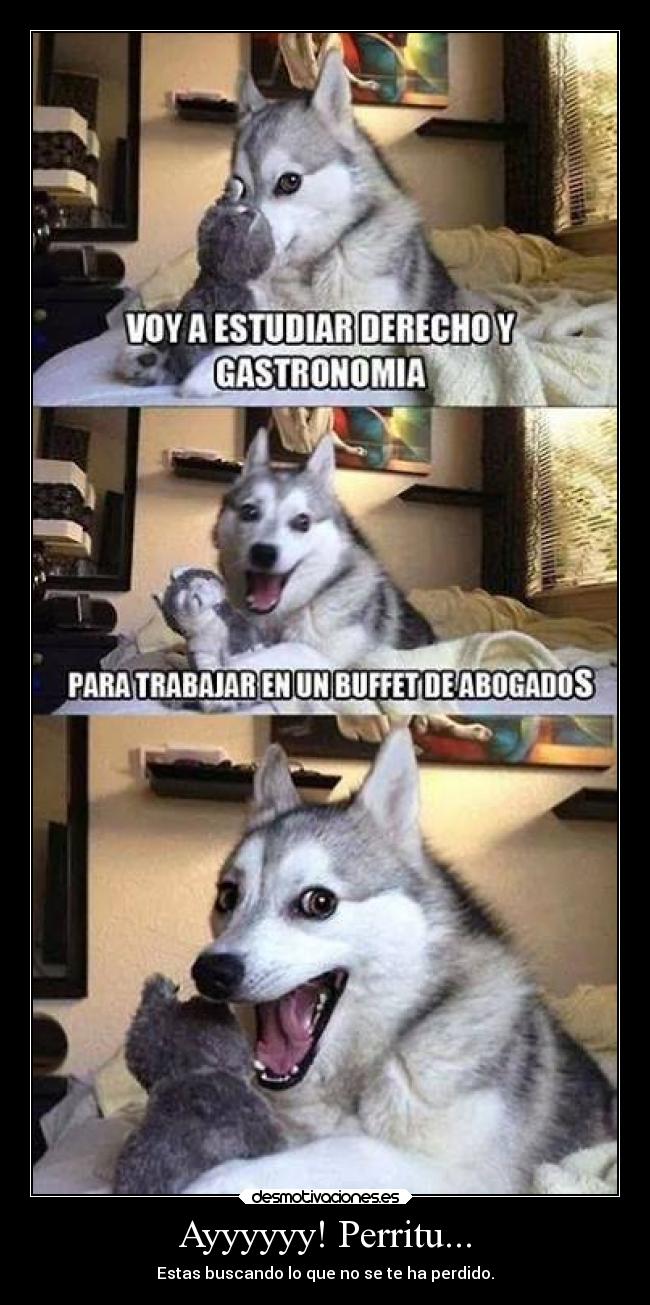 Ayyyyyy! Perritu... - Estas buscando lo que no se te ha perdido.