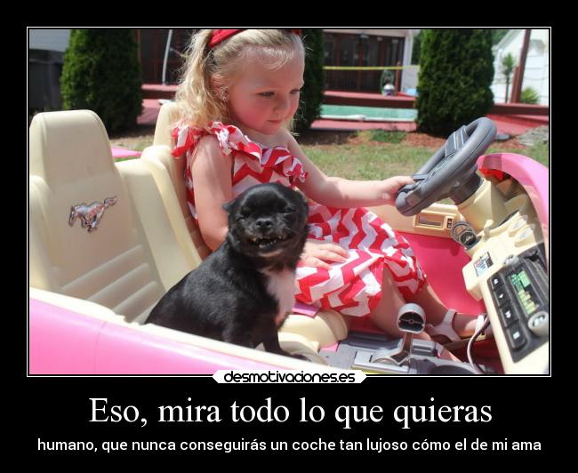 Eso, mira todo lo que quieras -