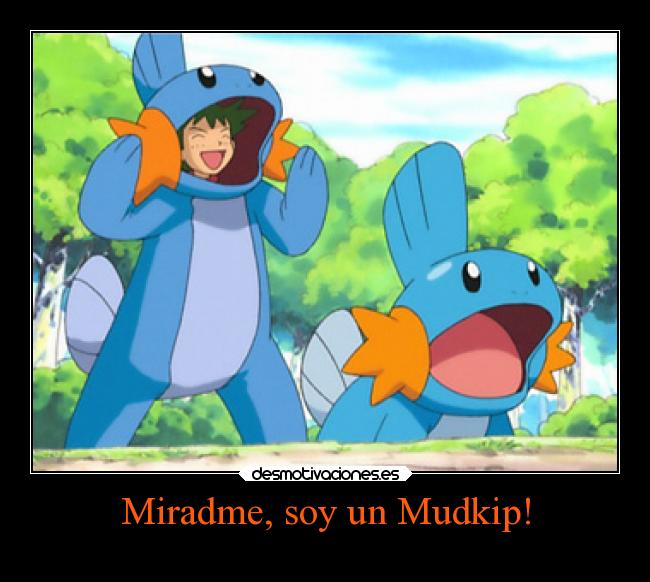 Miradme, soy un Mudkip! - 