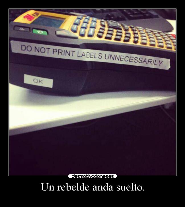 Un rebelde anda suelto. - 