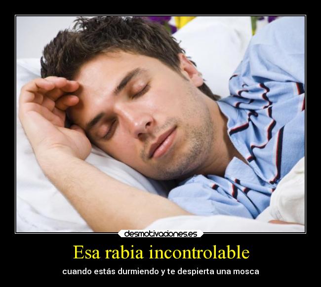 carteles humor sentimientos vida suenos desmotivaciones