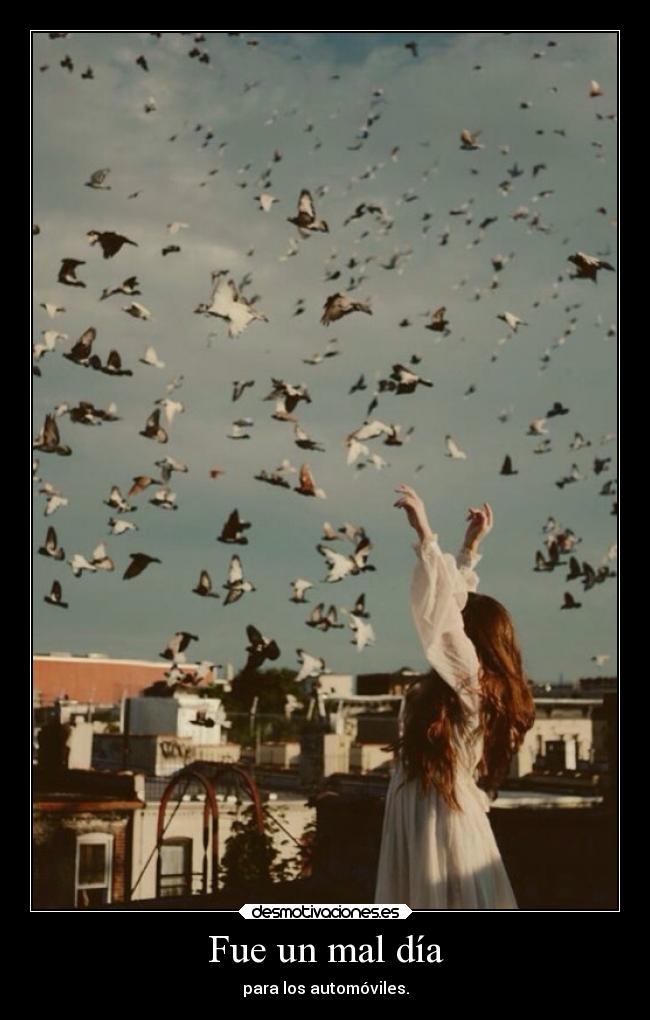 carteles humor slipkdemon clandesplazado desmoc3 autos heces paloma aves desmotivaciones