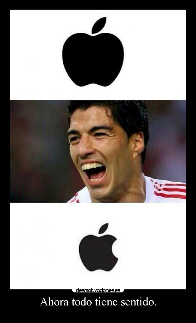 Ahora todo tiene sentido. -