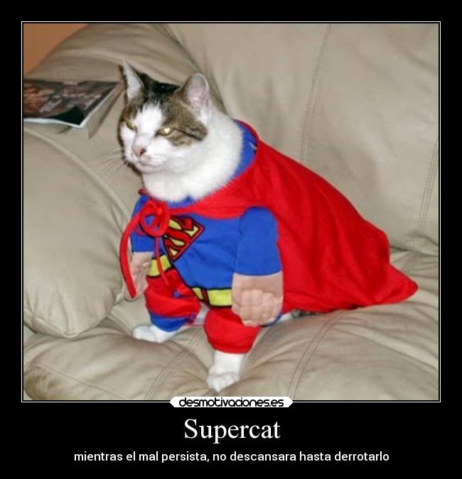 Supercat -