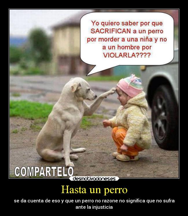 Hasta un perro -