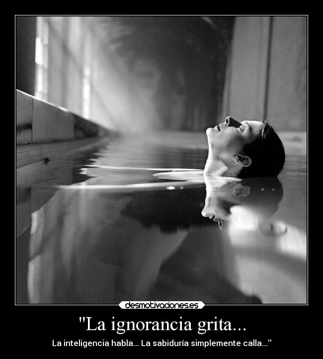 La ignorancia grita... - 