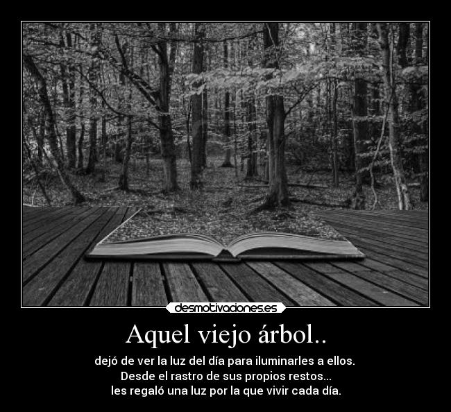 carteles imaginacion akleduok 255 consinsentido desmotivaciones