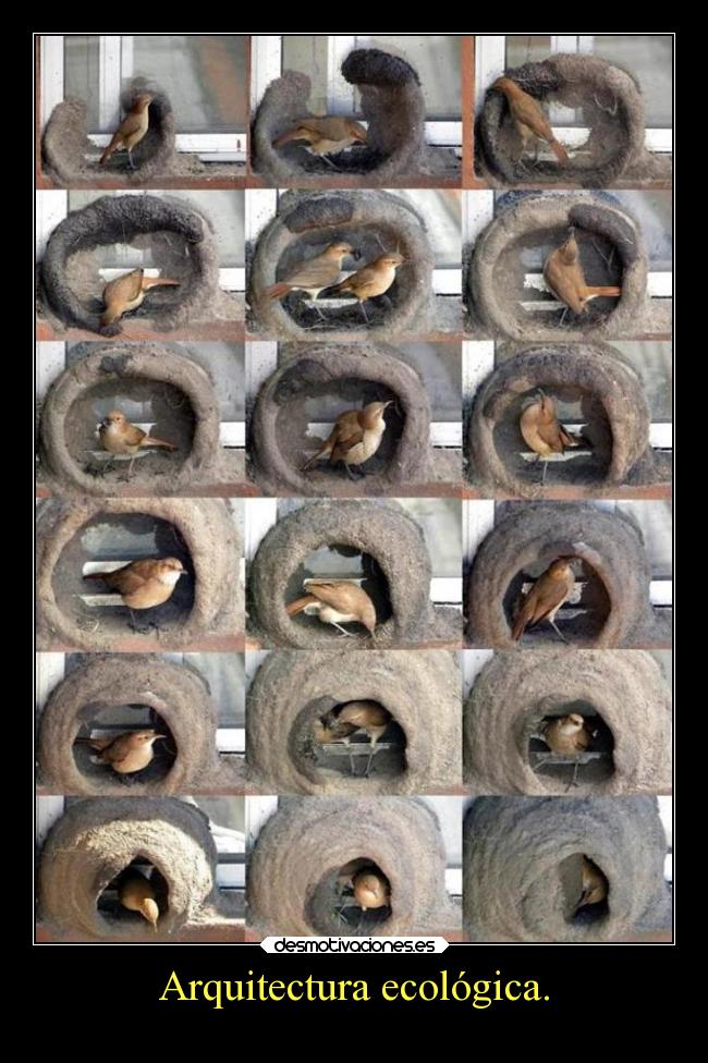 Arquitectura ecológica. -