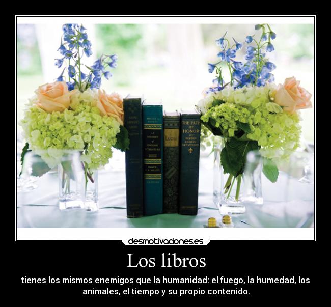 Los libros - 