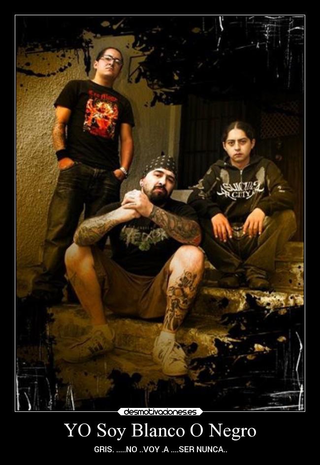 carteles libertad exprecion desmotivaciones