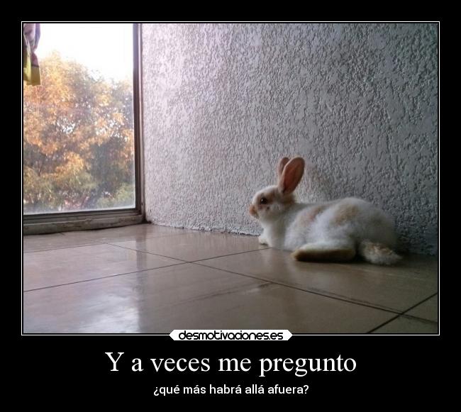 Y a veces me pregunto - ¿qué más habrá allá afuera?