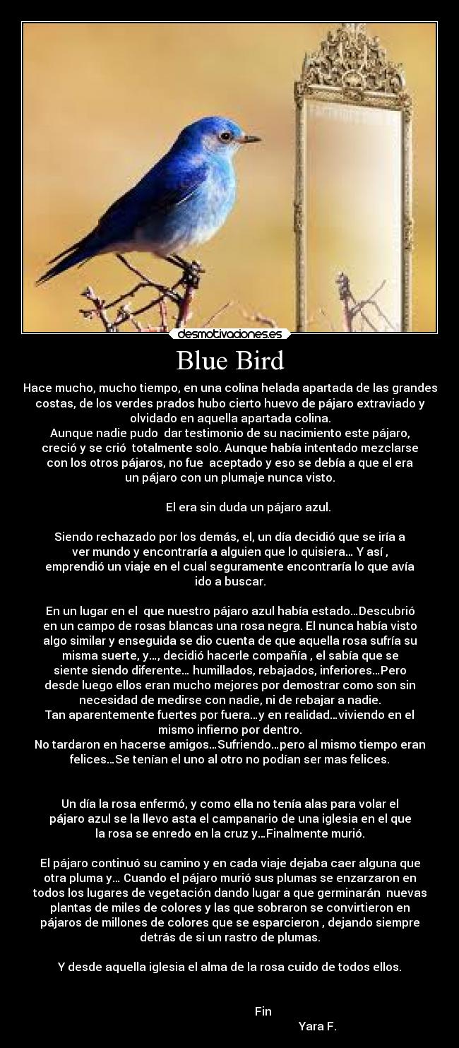 Blue Bird - Hace mucho, mucho tiempo, en una colina helada apartada de las grandes
costas, de los verdes prados hubo cierto huevo de pájaro extraviado y
olvidado en aquella apartada colina.
Aunque nadie pudo dar testimonio de su nacimiento este pájaro,
creció y se crió totalmente solo. Aunque había intentado mezclarse
con los otros pájaros, no fue aceptado y eso se debía a que el era
un pájaro con un plumaje nunca visto.
El era sin duda un pájaro azul.
Siendo rechazado por los demás, el, un día decidió que se iría a
ver mundo y encontraría a alguien que lo quisiera… Y así ,
emprendió un viaje en el cual seguramente encontraría lo que avía
ido a buscar.
En un lugar en el que nuestro pájaro azul había estado…Descubrió
en un campo de rosas blancas una rosa negra. El nunca había visto
algo similar y enseguida se dio cuenta de que aquella rosa sufría su
misma suerte, y…, decidió hacerle compañía , el sabía que se
siente siendo diferente… humillados, rebajados, inferiores…Pero
desde luego ellos eran mucho mejores por demostrar como son sin
necesidad de medirse con nadie, ni de rebajar a nadie.
Tan aparentemente fuertes por fuera…y en realidad…viviendo en el
mismo infierno por dentro.
No tardaron en hacerse amigos…Sufriendo…pero al mismo tiempo eran
felices…Se tenían el uno al otro no podían ser mas felices.
Un día la rosa enfermó, y como ella no tenía alas para volar el
pájaro azul se la llevo asta el campanario de una iglesia en el que
la rosa se enredo en la cruz y…Finalmente murió.
El pájaro continuó su camino y en cada viaje dejaba caer alguna que
otra pluma y… Cuando el pájaro murió sus plumas se enzarzaron en
todos los lugares de vegetación dando lugar a que germinarán nuevas
plantas de miles de colores y las que sobraron se convirtieron en
pájaros de millones de colores que se esparcieron , dejando siempre
detrás de si un rastro de plumas.
Y desde aquella iglesia el alma de la rosa cuido de todos ellos.
Fin
Yara F.