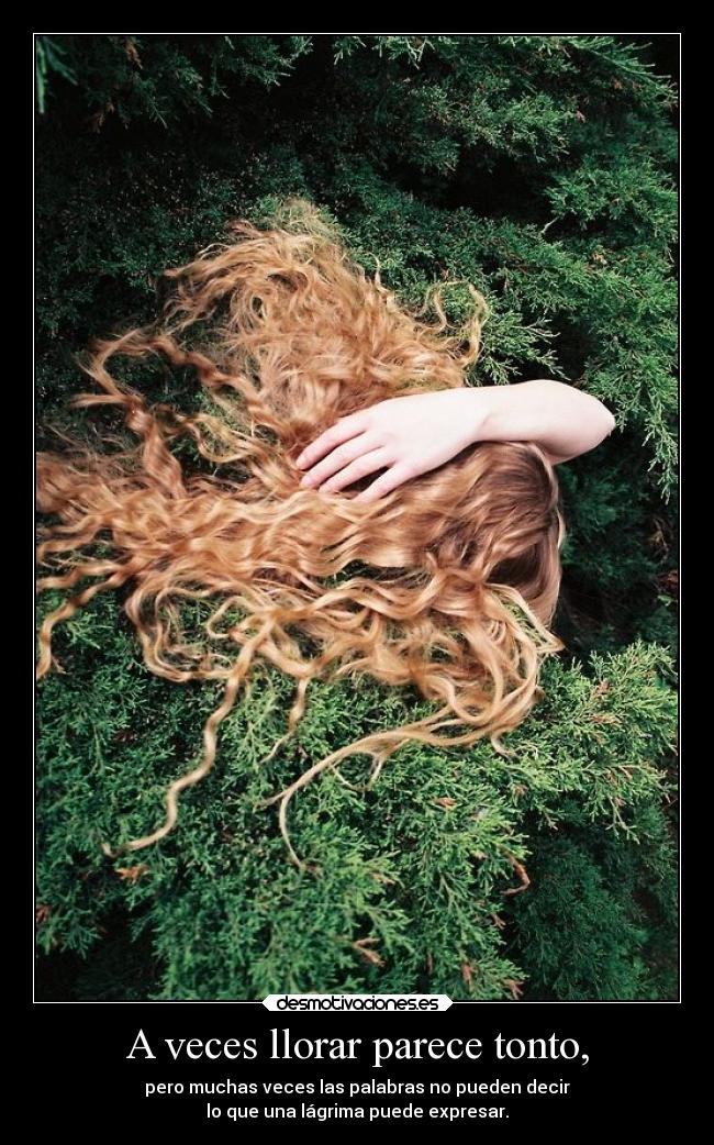 A veces llorar parece tonto, - pero muchas veces las palabras no pueden decir
lo que una lágrima puede expresar.