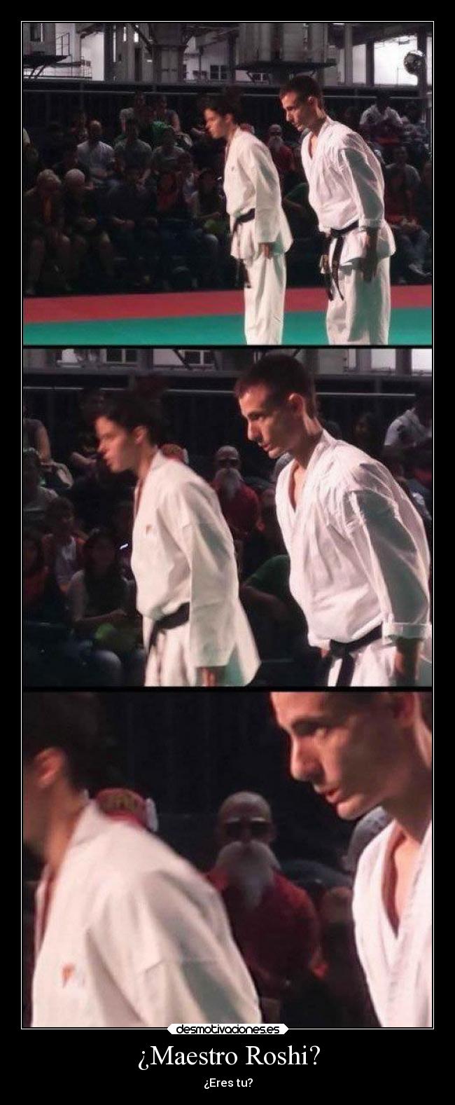 ¿Maestro Roshi? - ¿Eres tu?