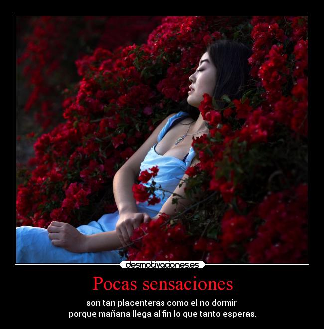 Pocas sensaciones - son tan placenteras como el no dormir
porque mañana llega al fin lo que tanto esperas.