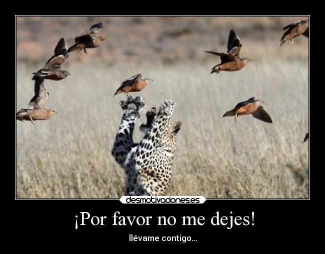 ¡Por favor no me dejes! - llévame contigo...