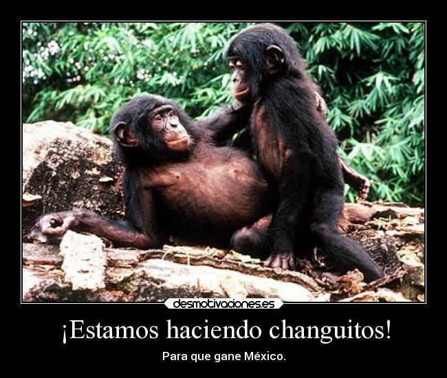 ¡Estamos haciendo changuitos! - Para que gane México.