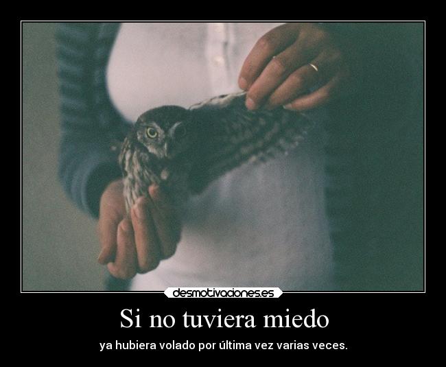 Si no tuviera miedo - 