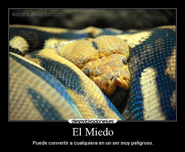 El Miedo - Puede convertir a cualquiera en un ser muy peligroso.