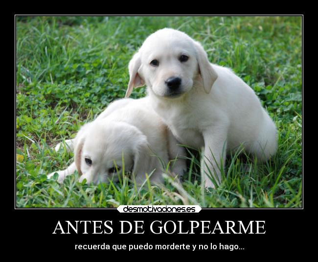ANTES DE GOLPEARME - recuerda que puedo morderte y no lo hago...
