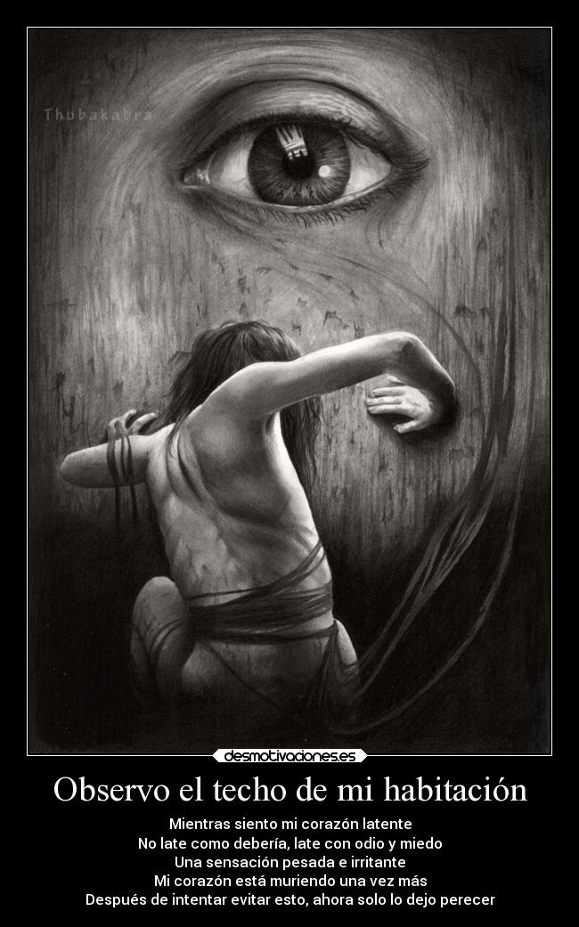 Observo el techo de mi habitación -