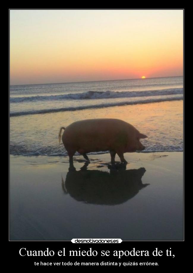 Cuando el miedo se apodera de ti, - te hace ver todo de manera distinta y quizás errónea.