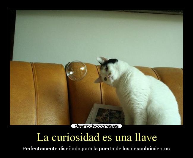 La curiosidad es una llave -