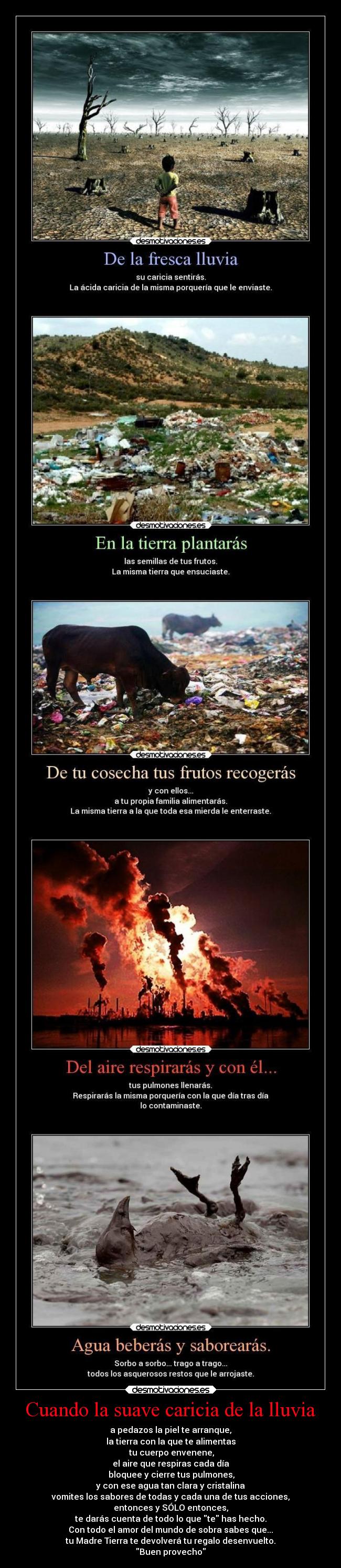 Cuando la suave caricia de la lluvia -