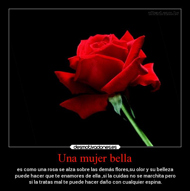 Una mujer bella - es como una rosa se alza sobre las demás flores,su olor y su belleza
puede hacer que te enamores de ella ,si la cuidas no se marchita pero
si la tratas mal te puede hacer daño con cualquier espina.