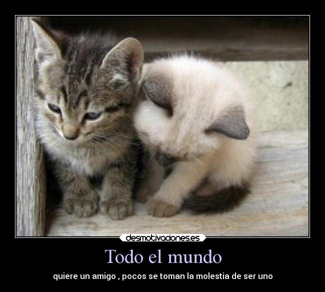 carteles mundo amistad desmotivaciones
