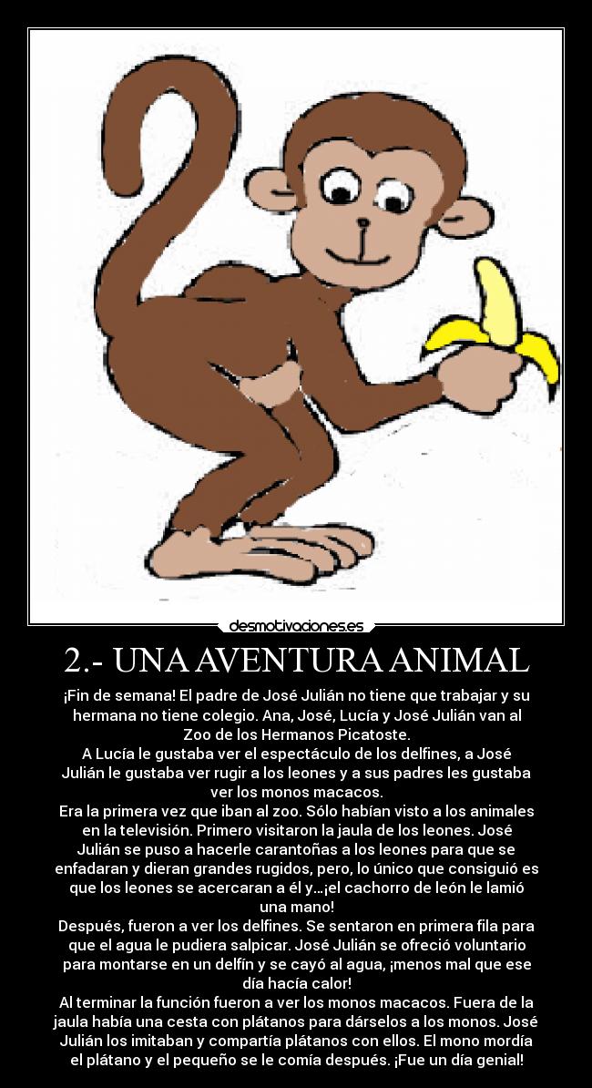 2.- UNA AVENTURA ANIMAL - ¡Fin de semana! El padre de José Julián no tiene que trabajar y su
hermana no tiene colegio. Ana, José, Lucía y José Julián van al
Zoo de los Hermanos Picatoste.
A Lucía le gustaba ver el espectáculo de los delfines, a José
Julián le gustaba ver rugir a los leones y a sus padres les gustaba
ver los monos macacos.
Era la primera vez que iban al zoo. Sólo habían visto a los animales
en la televisión. Primero visitaron la jaula de los leones. José
Julián se puso a hacerle carantoñas a los leones para que se
enfadaran y dieran grandes rugidos, pero, lo único que consiguió es
que los leones se acercaran a él y…¡el cachorro de león le lamió
una mano!
Después, fueron a ver los delfines. Se sentaron en primera fila para
que el agua le pudiera salpicar. José Julián se ofreció voluntario
para montarse en un delfín y se cayó al agua, ¡menos mal que ese
día hacía calor!
Al terminar la función fueron a ver los monos macacos. Fuera de la
jaula había una cesta con plátanos para dárselos a los monos. José
Julián los imitaban y compartía plátanos con ellos. El mono mordía
el plátano y el pequeño se le comía después. ¡Fue un día genial!