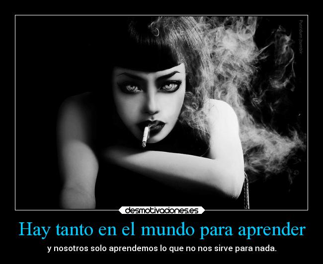 Hay tanto en el mundo para aprender - y nosotros solo aprendemos lo que no nos sirve para nada.
