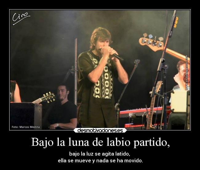 carteles musica desmotivaciones