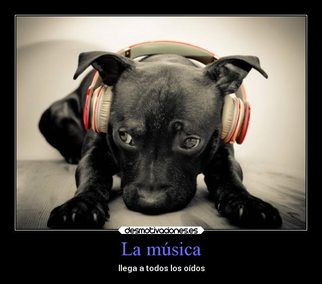 La música -