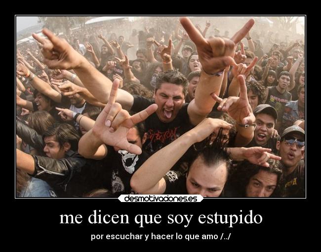 me dicen que soy estupido - por escuchar y hacer lo que amo /../