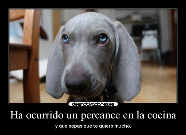 carteles naturaleza desmotivation desmotivaciones