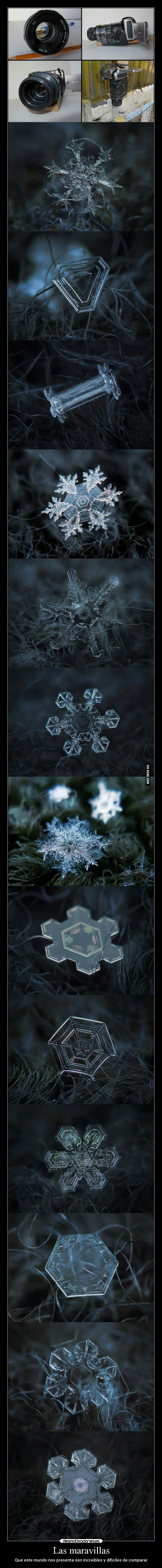 Las maravillas - Que este mundo nos presenta son increibles y dificiles de comparar