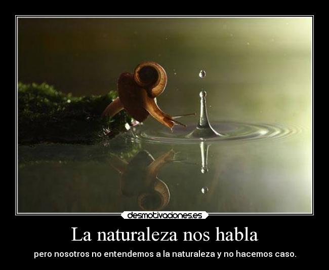 La naturaleza nos habla - pero nosotros no entendemos a la naturaleza y no hacemos caso.